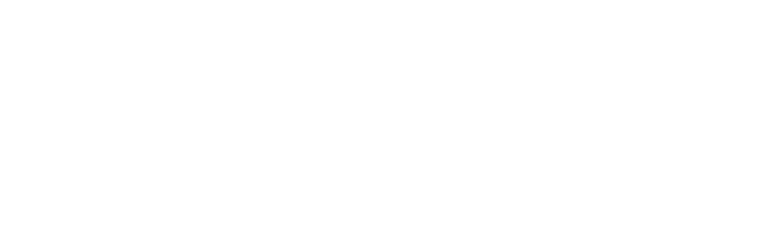 HealthPlanAI logo no byline white
