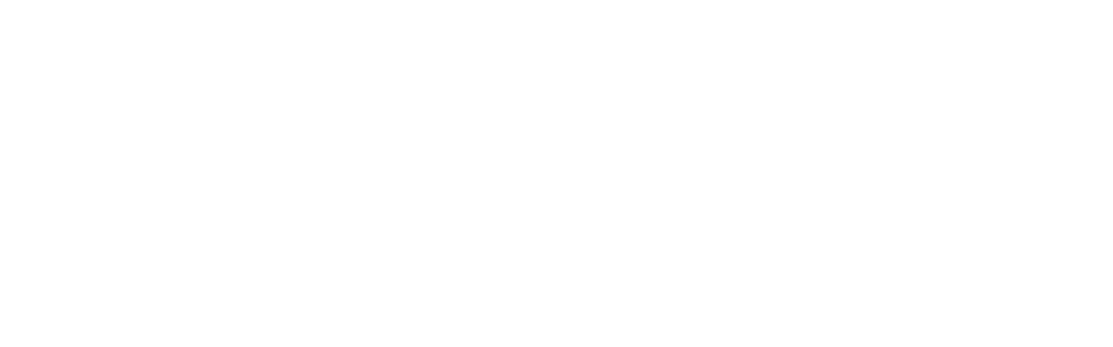 HealthPlanAI Logo